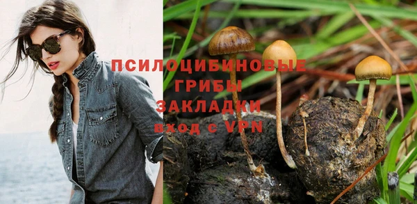 PSILOCYBIN Нязепетровск