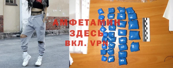 гидра Новодвинск