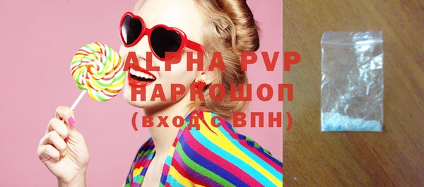 прущие грибы Новозыбков